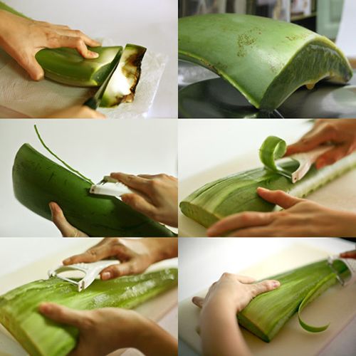 Le quattro bevande a base di Aloe Vera di Forever Living